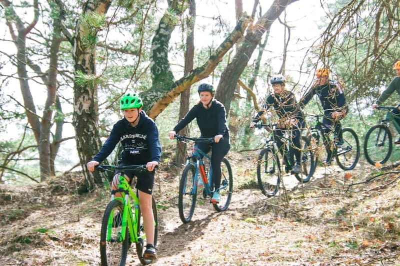 Harderwijk: Mountain Bike Rental on the Veluwe - Discovering the Veluwe on two wheels: what to expect