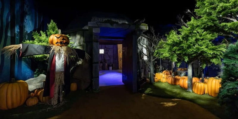 Harry Potter: The Exhibition with Transport from Kraków - FAQs