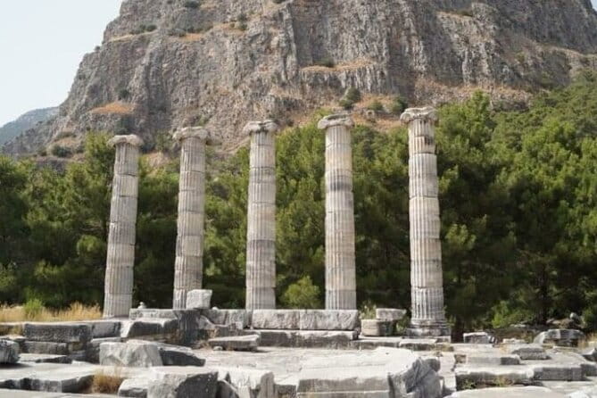 Heart of Aegean: Private Priene - Miletus - Didyma Tour - Didyma and the Temple of Apollo: A Shrine of Grandeur