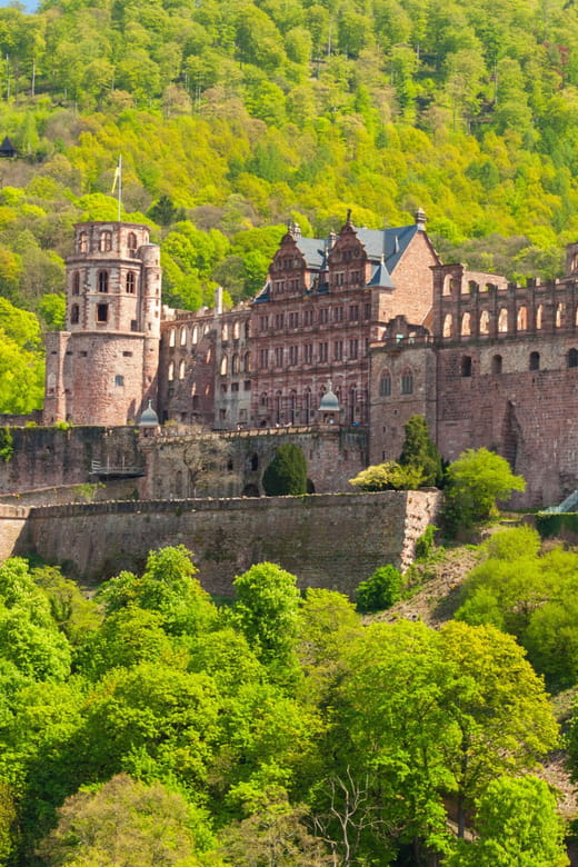 Heidelberg and Rhine Combination Tour from Frankfurt - Transitioning to the Rhine River: From Medieval to Fairy Tale