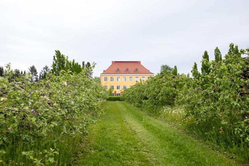 Helsinki: Private Visit to Finnish Berry Winery with Tasting - In-Depth: What Makes This Tour Stand Out