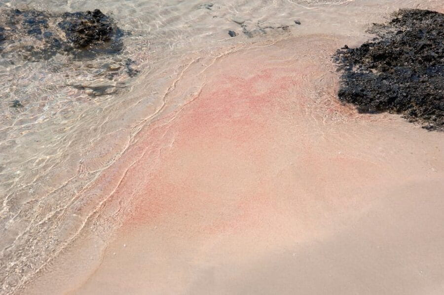 Heraklion: Elafonisi Beach: Discover the Pink Sand Paradise - What Makes Elafonisi Special?