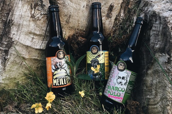 Hike & Beer: beer tasting & breathtaking views at sunset - The Brewery Experience: Local Craft Beers & Tasty Appetizers