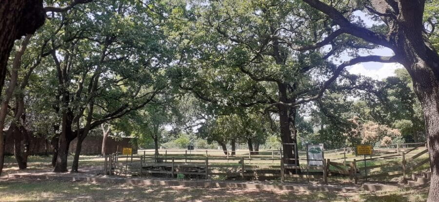 Hike in Muggia - Why This Tour Offers Good Value