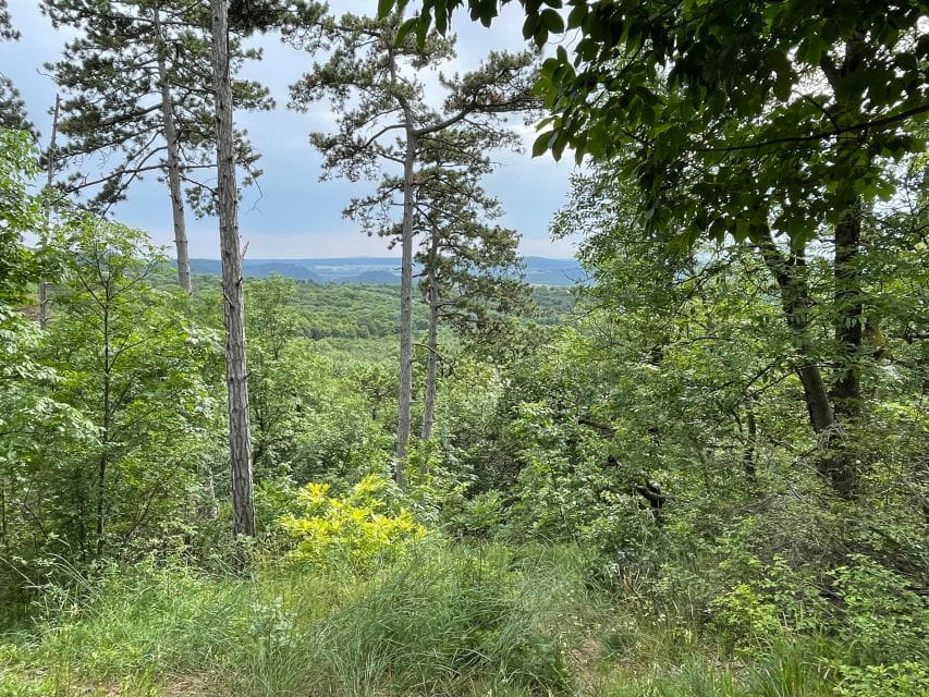 Hike, nature & picturesque view over Budapest - The Journey Through Buda Hills: Route and Highlights