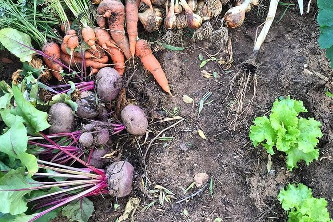 Hike The Historic Clifftops Of Lagos - FAQ