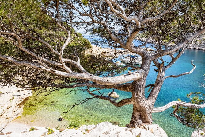 Hike to the Blue Cave Marseille with swimming and snack - Descending to the Blue Cave: A Steep but Rewarding Climb