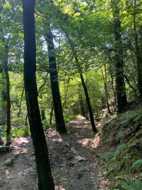 Hike Ulia | San Sebastian: El Camino de Santiago (The Way) - The Finish Line: Pintxos and Drinks in San Sebastián