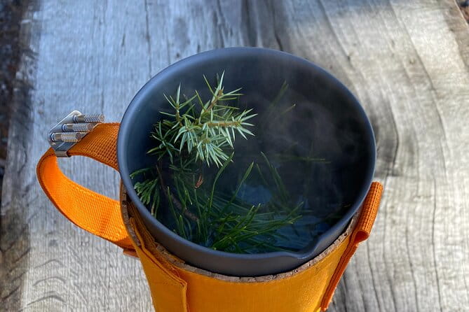 Hike with Wild Forage Surviving Tips and Local Lunch at the Lake - Wild Foraging and Survival Tips: A Hands-On Lesson in Nature