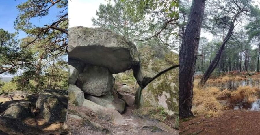 Hiking Adventure in the Fontainebleau Forest - Price and Value