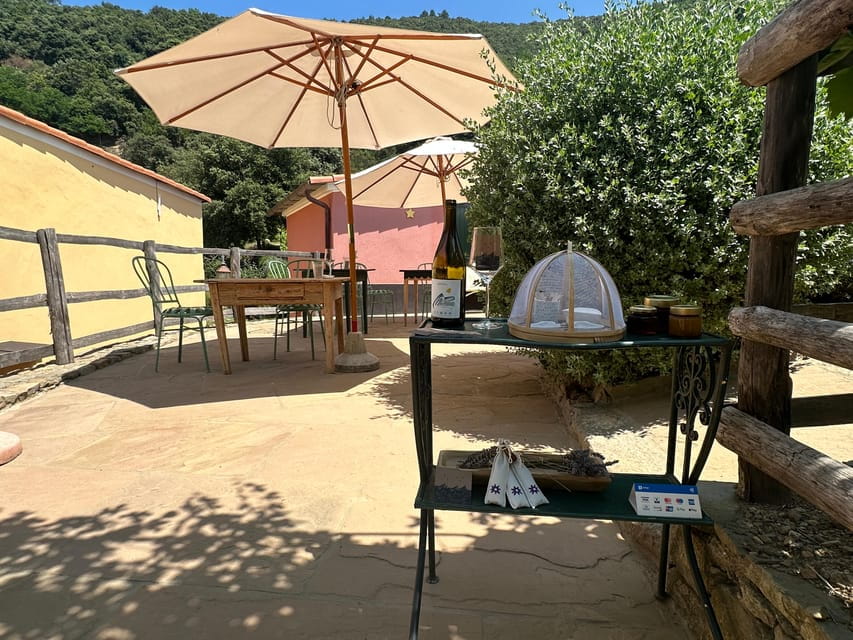 Hiking and wine tasting experience - The Biodynamic Farm and Wine Tasting at Stella di Lemmen