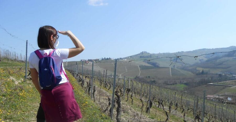 Hiking and wine tour starting from Alba - Entering the Piedmont Hills: Starting in Alba’s Historic Center