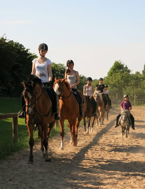 Hirschburg: Day at the stables - Detailed Breakdown of the Experience