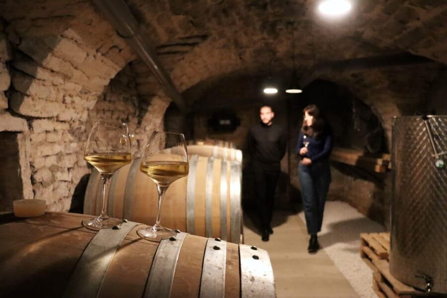 Historic Center of Dijon : Discovery Tasting Wine Burgundy - A Closer Look at the Burgundy Wine Tasting Experience