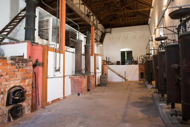 Historic Winery Tour and Tasting in Bombarral - The Guided Tasting: Six Wines and Local Flavors