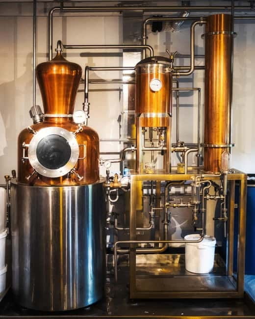 Holyrood Distillery Gin Tasting Experience - Who Should Consider This Experience