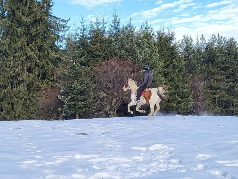 Horse Riding Day Trip in the Rila Mountain - Entering the Mountain Paradise: Borovets and Its Surroundings