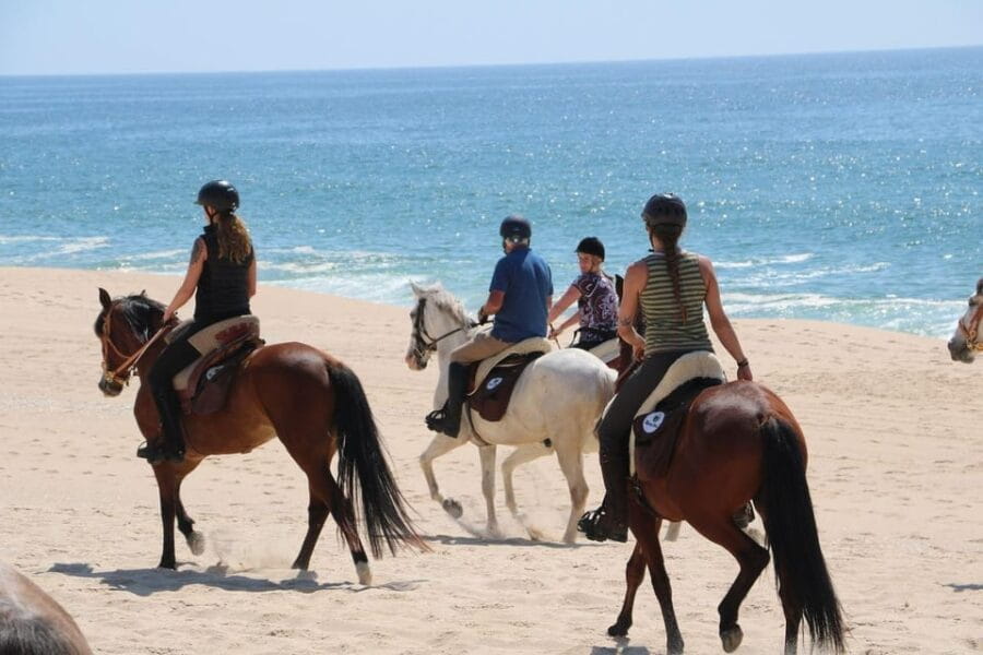 Horse riding in the Valley, near Lisbon - Price and Logistics: Analyzing Value and Practicality