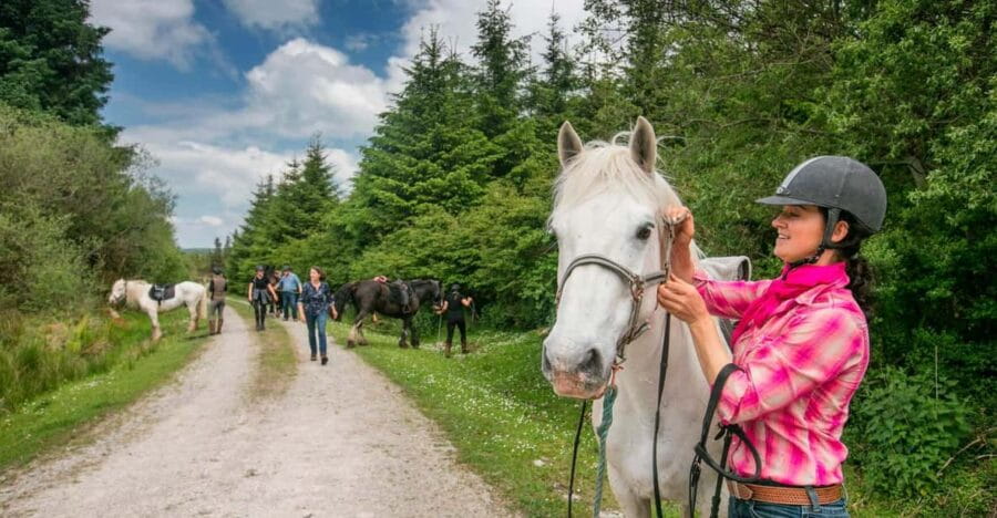 Horse riding the dirt trail. Clare. Guided. 1 hour - The Guides: Knowledgeable and Friendly