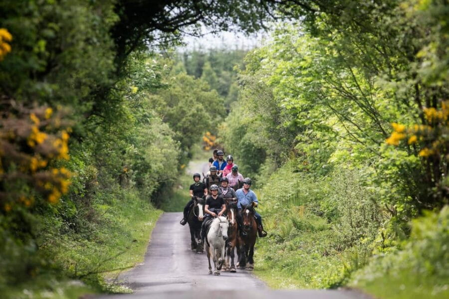 Horse riding the mountain trail. Clare. Guided, 2 hours - The Logistics: What You Need to Know