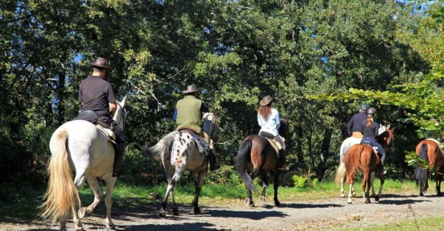 Horse Riding Through The valleys + food tasting - The Perfect Post-Ride Feast: Umbrian Flavors