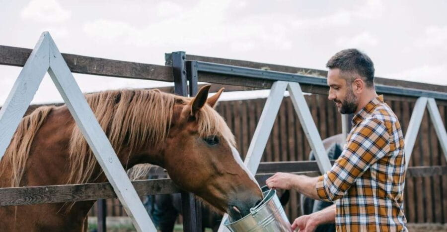 Horse Riding Through The Valleys + lunch - Who Will Love This Experience?