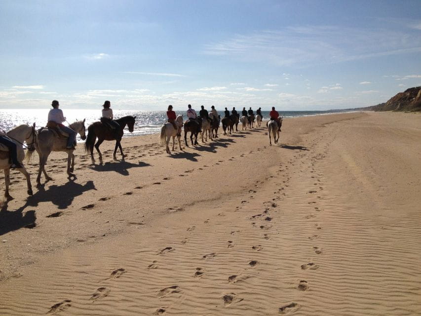 Horse-Riding Tour in Doñana National Park - Who is this tour best for?