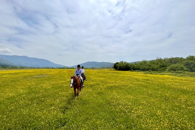 Horseback Riding Across River Ljuta with transport - The Experience Providers and Guides