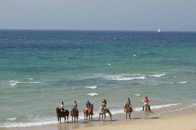 Horseback Riding by the beach or mountain in Tarifa, Spain - 1 to 2 hrs - Who Will Love This Experience?