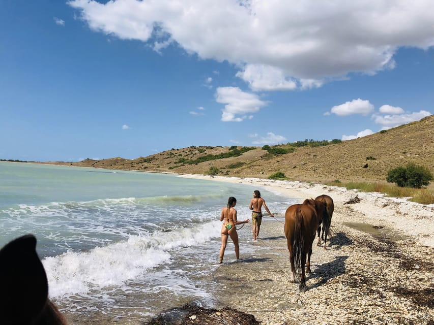 Horseback riding in the beaches of Sciacca - The Practical Side: Logistics and Value