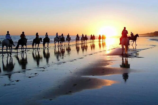 Horseback riding through Doñana and visit of El Rocio - Private tour - Visiting El Rocio: A Town Like No Other