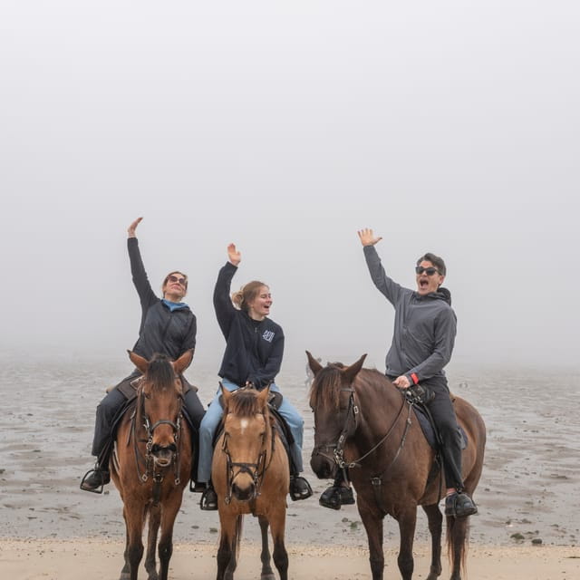 Horseback Riding Trough The Beach GROUP - PDT - Who is This Experience Best For?