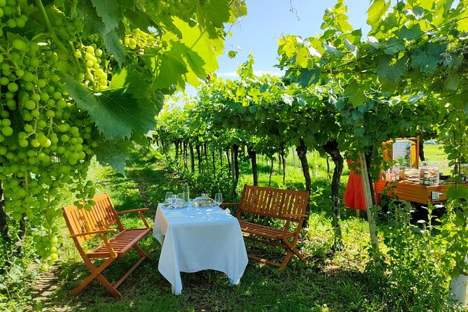 Horseback Riding with Wine and Food Tasting in Lazise Countryside - The Route: From Lazise to Colà and Beyond