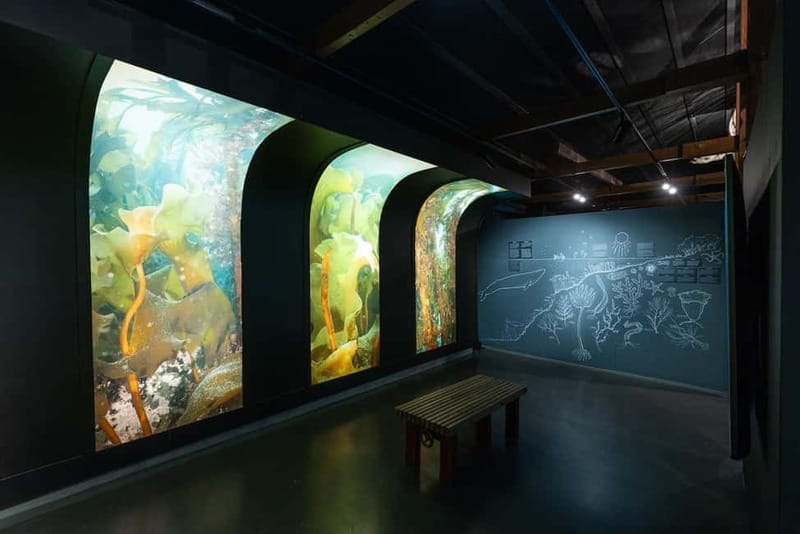 Húsavík: Whale Museum Entry Ticket - Navigating the Practicalities and Logistics