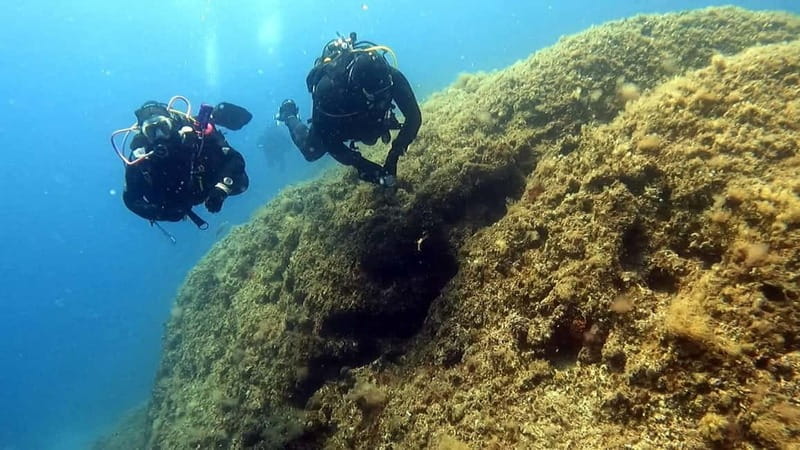 Hvar: Try Dive/Discover Scuba Diving Program - Who This Experience Is Perfect For