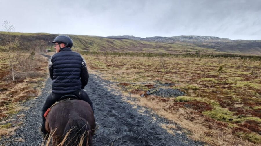 Hveragerði: Horseback Riding Tour for Beginners and - Entering Iceland’s Horse Country