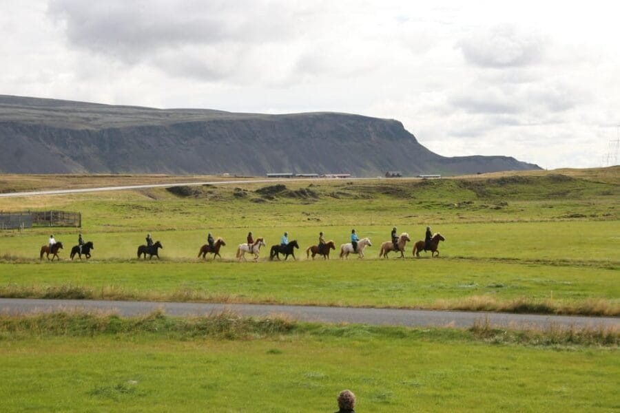 Hveragerdi: The Siggi Horse Riding Tour - Entering The World of Icelandic Horses