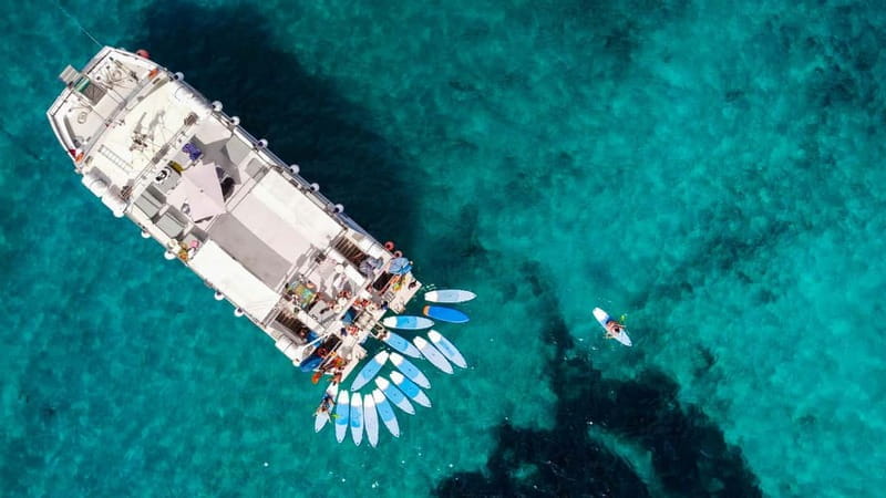 Ibiza: Formentera Full-Day Premium VIP Catamaran Cruise - Who Will Love This Tour?