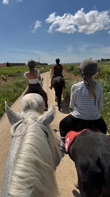 Ibiza: Private Horseback Riding Nature Experience +Transport - Why Choose a Horseback Ride in Ibiza?