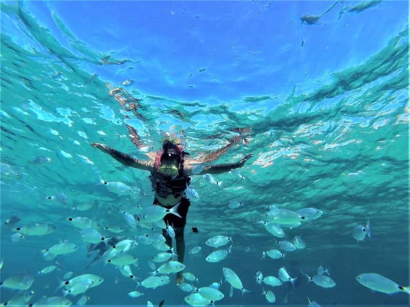 Ibiza: Sunset Coves and Sea Caves Snorkeling Trip - Logistics, Group Size, and Value