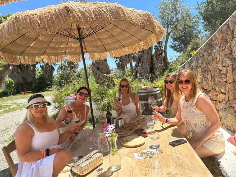 Ibiza Wine Tour: Wine Tasting + Tapas at Winery - The Tasting: Five Wines with Food Pairings