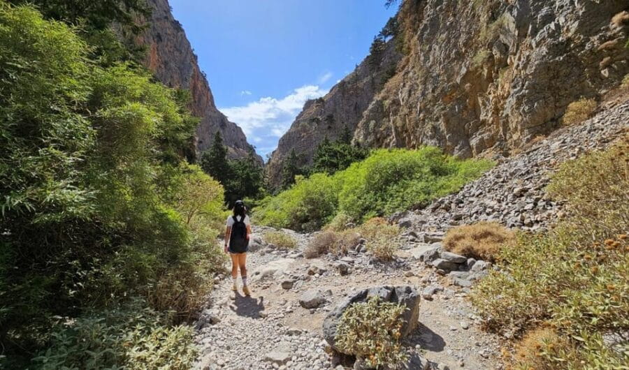 Imbros Gorge: Walk the Trail, Live the Story Private Tour - Discovering Sfakia and the Libyan Sea