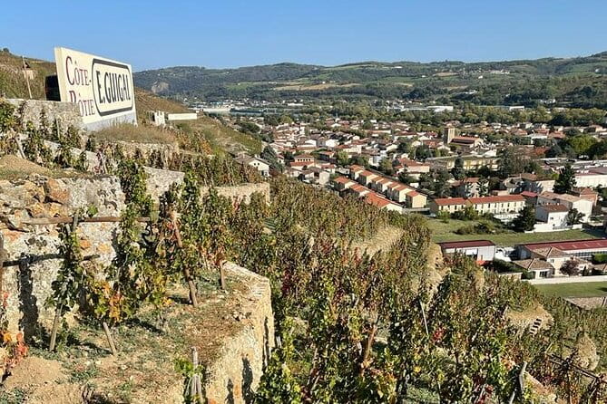 Immersion Domaine E.GUIGAL Visit wine cellars and tasting - Inside the Guigal Family Cellar: A Massive Collection