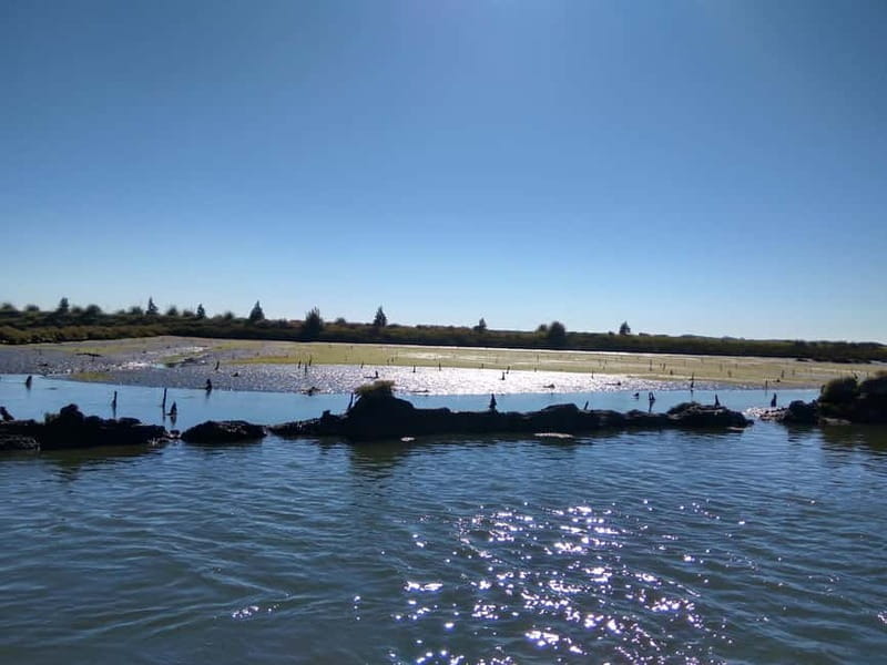 Industry or Nature Boat Tour | Speedboat - Passing through Floodgates and Into the Estuary