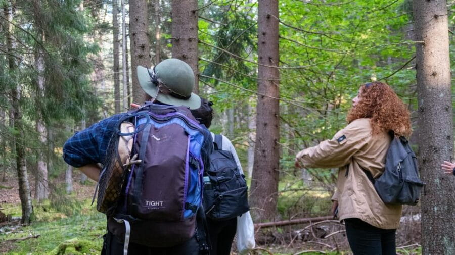 Into the wild - a sensorial experience in Stockholm's woods - Price and Value: Is it worth the cost?