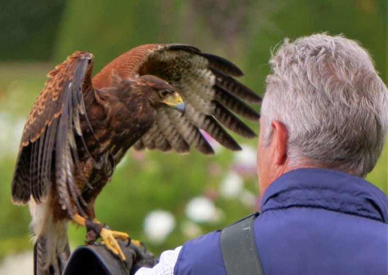 Inverness: Relaxed Private Northern Scottish Highlands Tour - Exploring the Highlands’ Natural Beauty: Achany and Falls of Shin