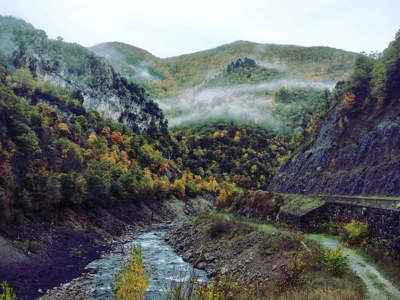 Irati Forest and Ochagavía Excursion - Visiting Ochagavía: The Picture-Perfect Village
