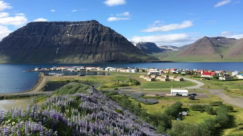 Ísafjörður: Flateyri Village tour: Nature, Culture, History - Why It Stands Out