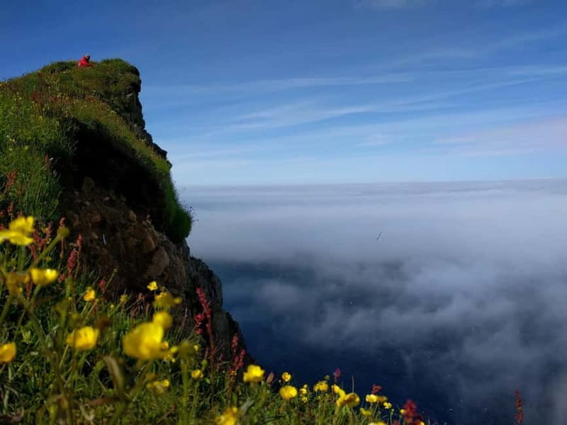 Ísafjörður: Hornstrandir Nature Reserve Guided Hike - The Cliffs of Hælavíkurbjarg: Birdwatcher’s Paradise