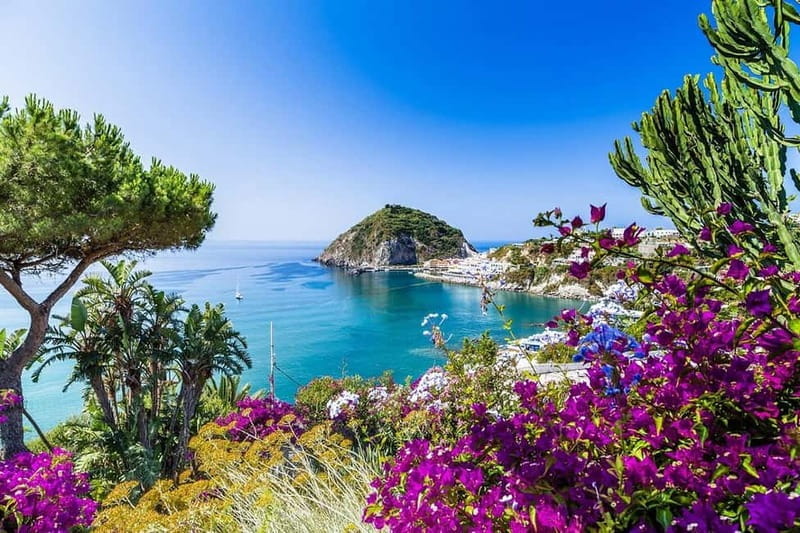 Ischia: Relaxation at Aphrodite Thermal Park+ Borgo Sant Angelo+ transfers - How the Day Unfolds: From Pickup to Return